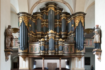 Orgel Marienmünster